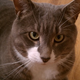 Image for article titled Shooting Challenge: Cellphone Gallery Part 3